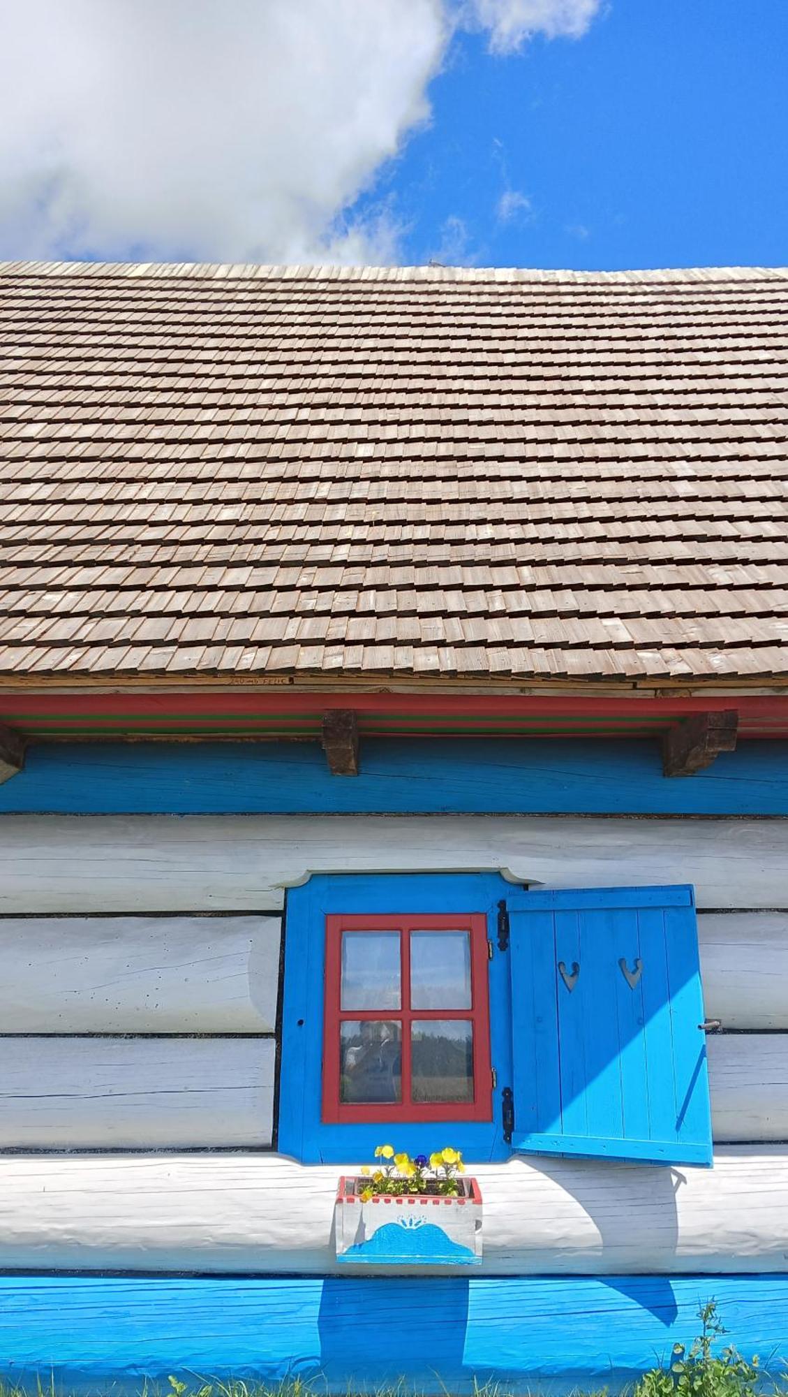 Gniazdo W Felicjanowie Uniejow Exterior foto
